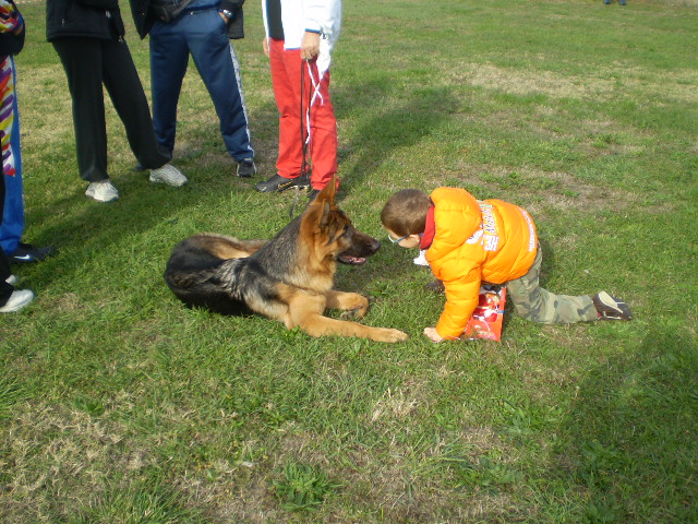 Ivan e il suo padroncino Lorenzo al raduno di Ferrara il 04/11/2007